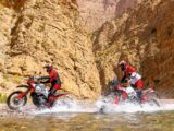 Ducati DesertX Rally motor in water